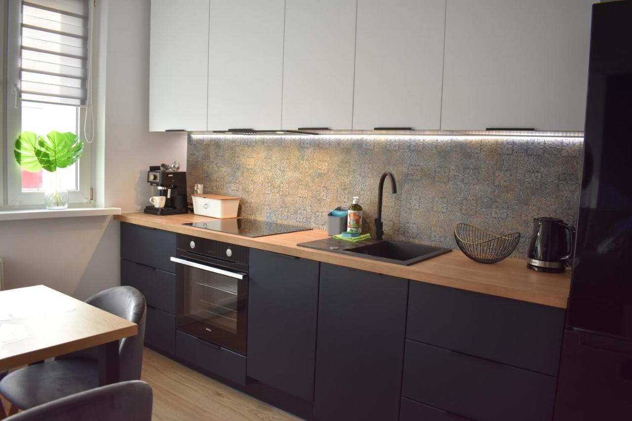 W Centrum Przy Parku Na Wyspie Apartment *